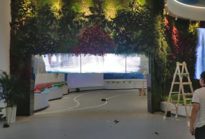 广西南宁良庆区南宁国际物流园双面透明屏升降屏案例展示